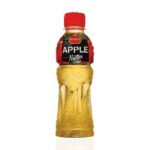 PRAN Apple Fruit Drink Pet Bottle 250ml