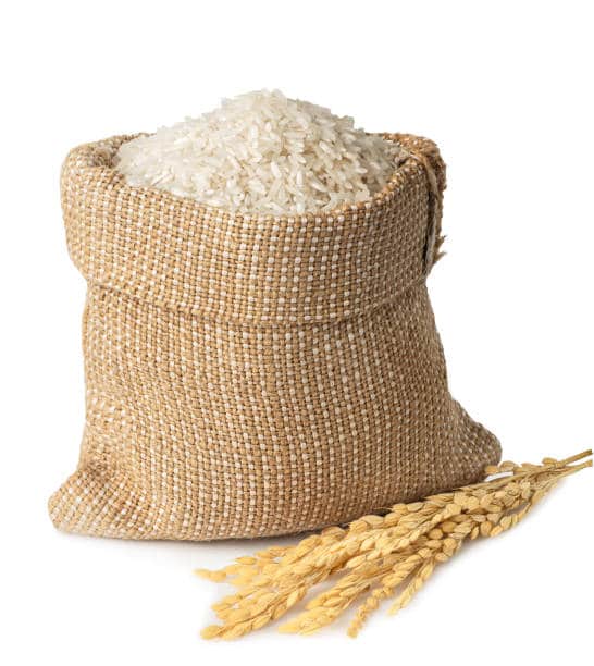 Rice