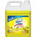 Lizol Disinfectant Surface & Floor Cleaner Citrus 5 ltr