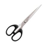 Deli Scissor 8 inch (6014)