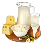 milkanddairyproducts